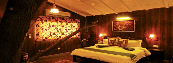 728/The Tree House & Water House Resort - Jaipur 09.jpg
